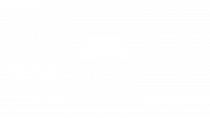 Digitaliseringsstyrelsen_16-9-1000-bred