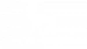 Novo-Nordisk_Logo