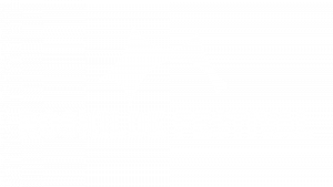 RoskildeFestival