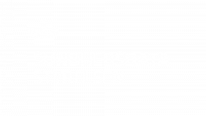 Sundhedsdatastyrelsen_hvid